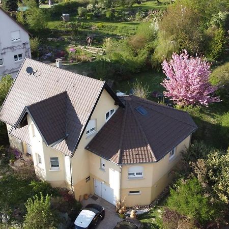 Апартаменти Chez Olivier Et Josette Sur Mulhouse Sud Illfurth Екстер'єр фото