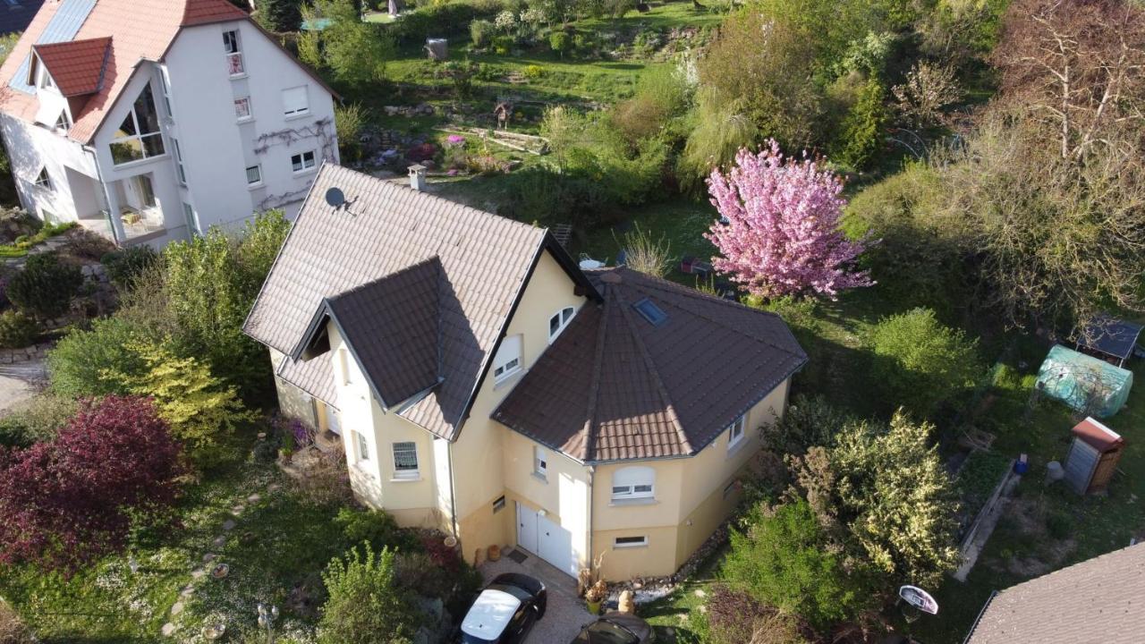 Апартаменти Chez Olivier Et Josette Sur Mulhouse Sud Illfurth Екстер'єр фото